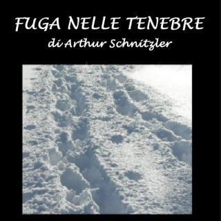 Fuga nelle tenebre – Arthur Schnitzler, copertina dell'audiolibro